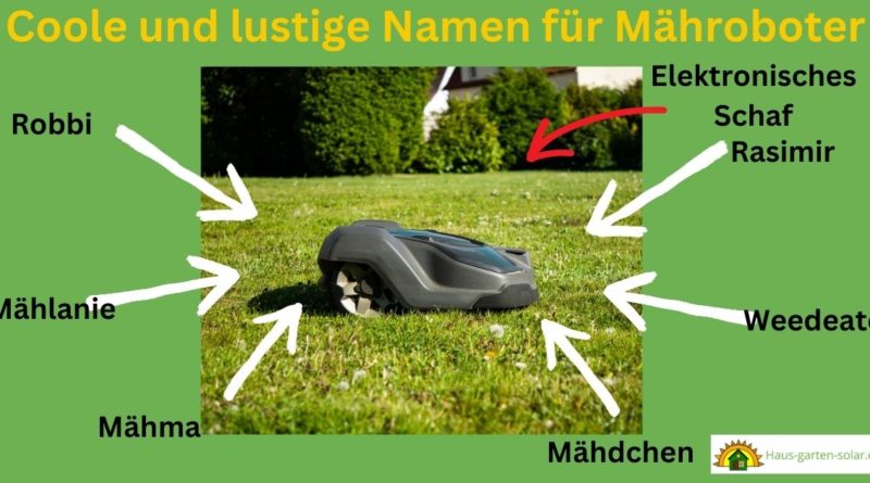lustige rasenroboter namen
