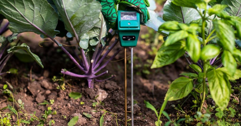 Pflanzen Feuchtigkeitsmesser - Praktischer Boden Hygrometer Ohne Batterien Für Garten & Zimmerpflanzen