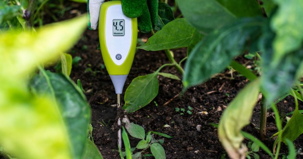 57+ Pflanzen Feuchtigkeitsmesser Hornbach, Dauertiefpreise große